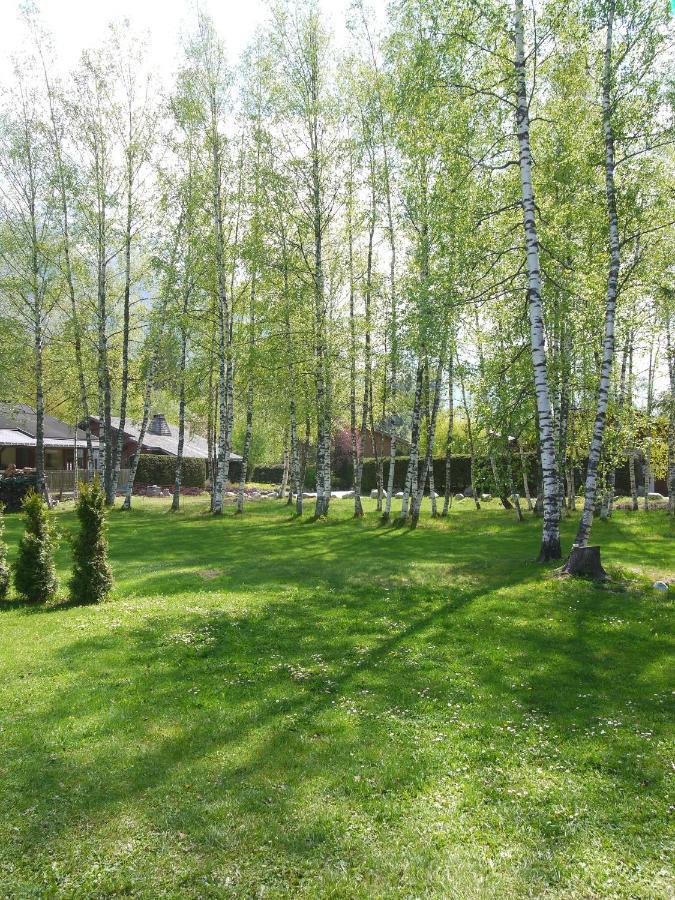 Chalet Champraz - Free Parking Chamonix Zewnętrze zdjęcie